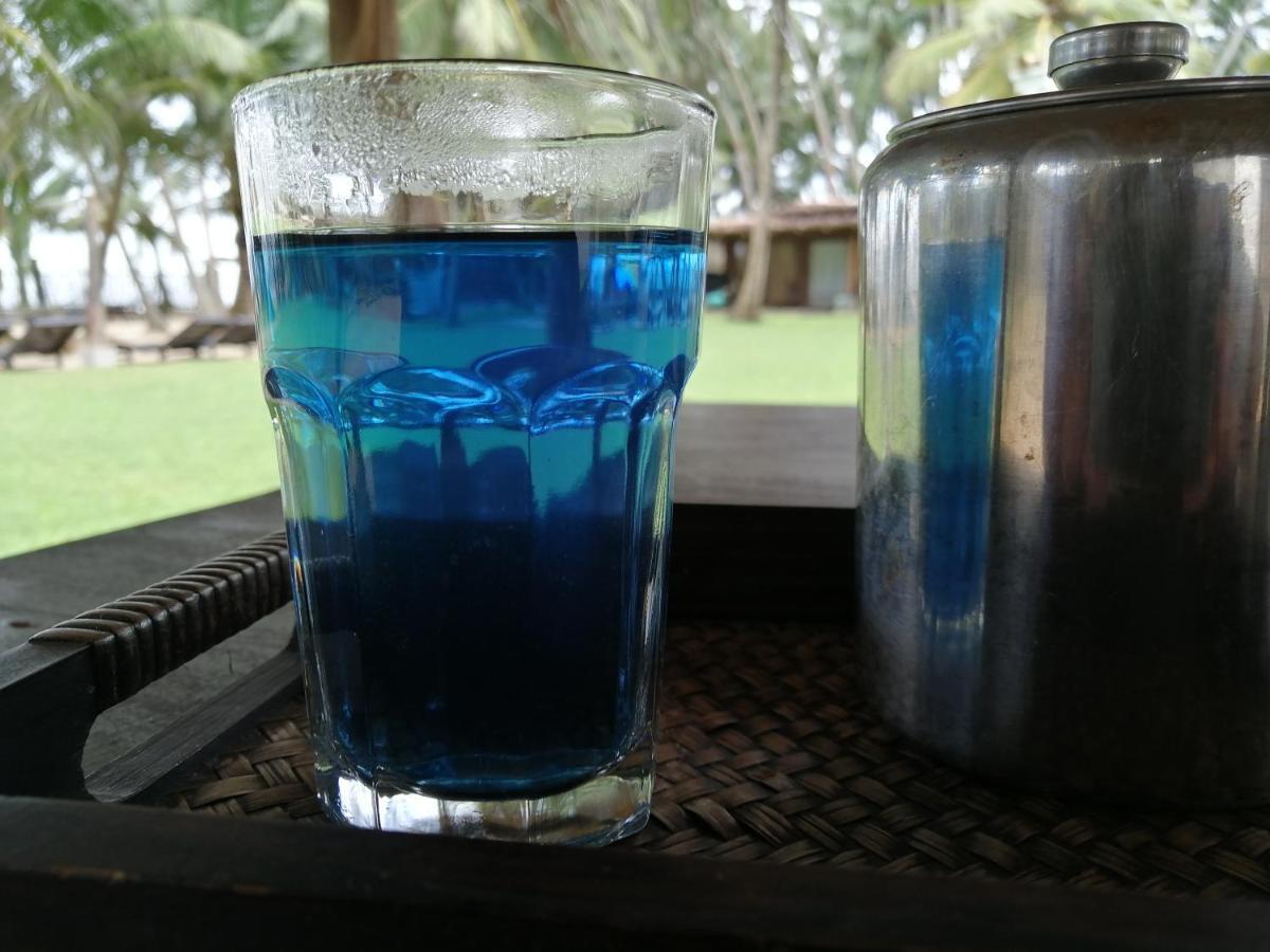 Cocovilla Boutique Resort Bentota Bagian luar foto